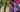 Img 20251007 wa0245