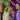Img 20251007 wa0245